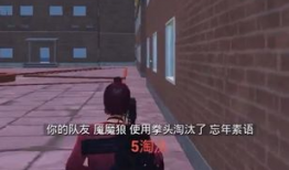 和平精英吃瓜爆料初言,初言爆料，吃瓜群众揭秘游戏幕后真相