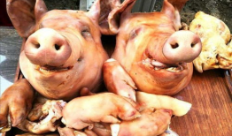 猪头吃瓜爆料图片大全,揭秘爆笑图片背后的趣味瞬间